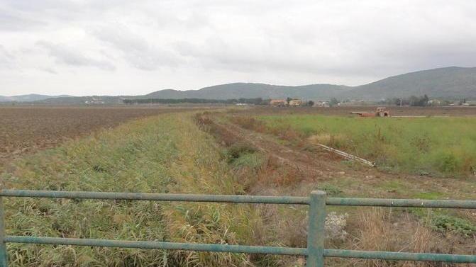 Ponte Radicata, i cantieri dureranno 5 mesi In settimana la data di inizio delle opere