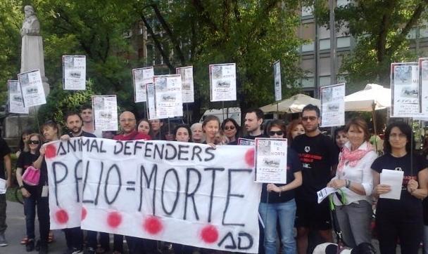 Animalisti tra sfottò e divisioni 