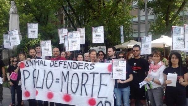 Animalisti tra sfottò e divisioni