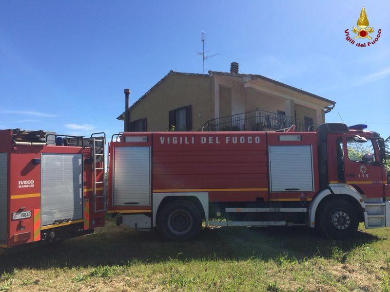 Quattro cani morti nel rogo 