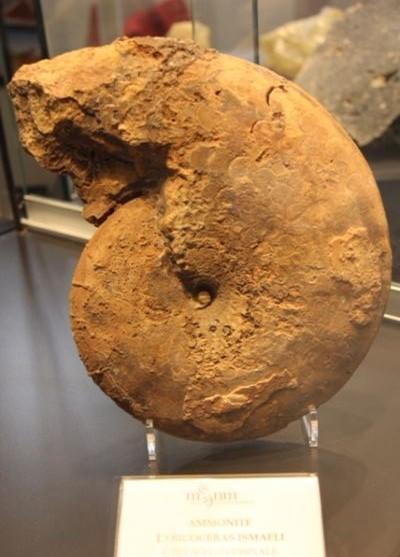 Meteoriti rare in mostra a Palazzo Buonamici a Prato 