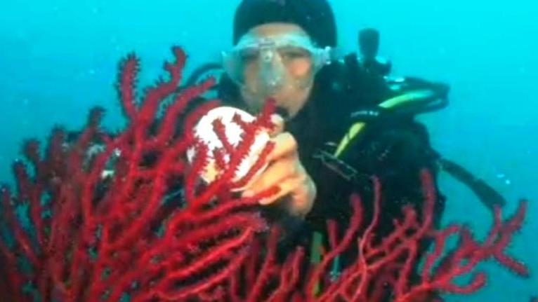 Gli scienziati studiano il corallo nel mare di Calafuria