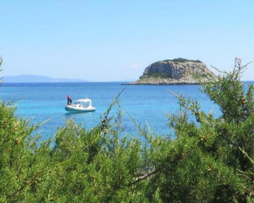 Pianosa, gommone “pirata” nell’area marina protetta 
