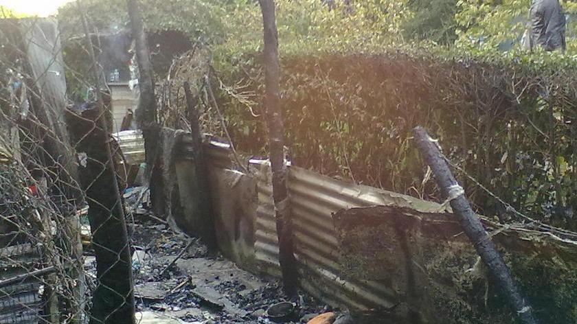 Scoppia l’incendio nel canile muoiono quattro animali