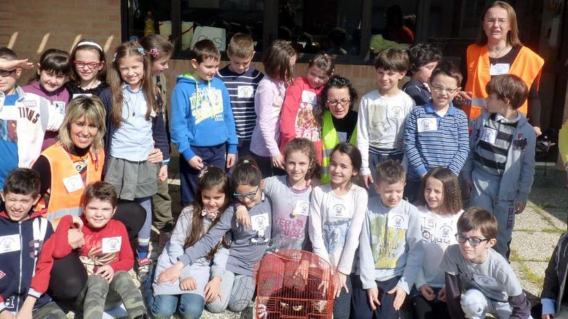 Argenta, gli alunni della 3ª C protagonisti per la sicurezza