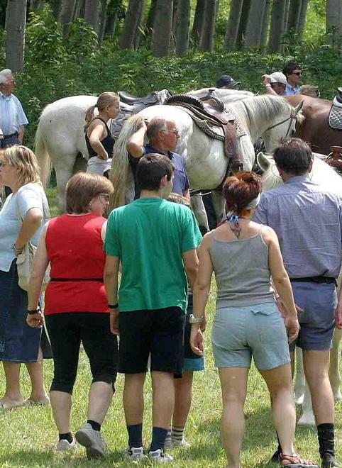 Quattro domeniche nella golena del Po