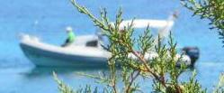 Gommone pirata nel mare di Pianosa 