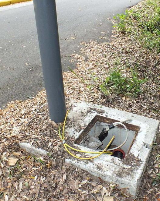 Vanno a rubare, trovano i sigili 