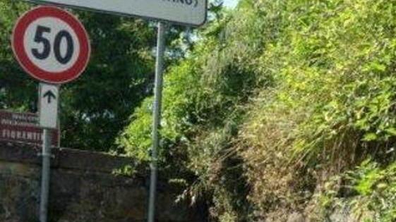 Fossi e fogne in tilt la protesta di Pavese