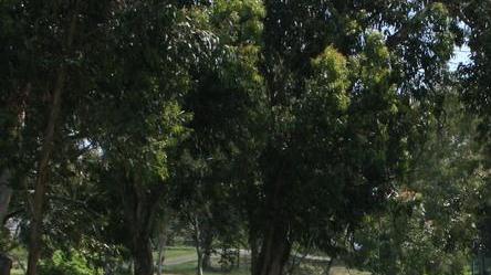 Appello della sezione di FI per il verde pubblico