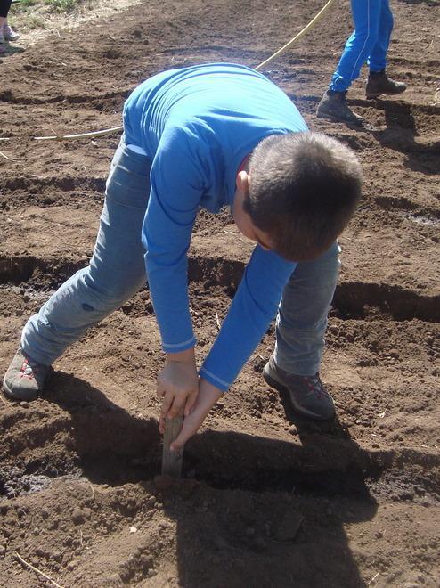 Il grande orto dei piccoli agricoltori 