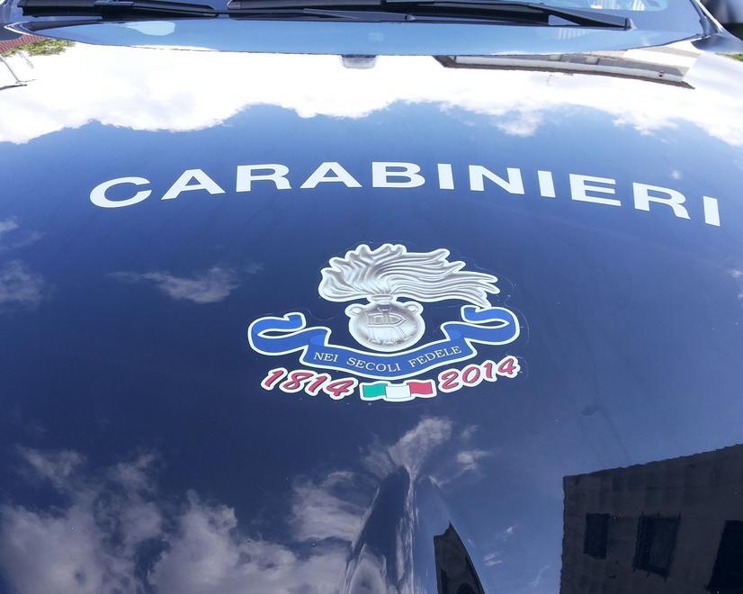 Un logo speciale per il bicentenario dei carabinieri 