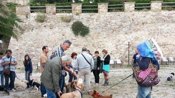 Gran successo della sfilata canina all’ex Pro Patria