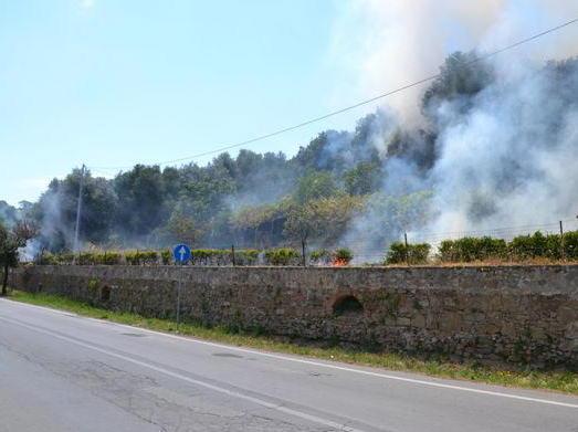 Incendio lungo la panoramica 