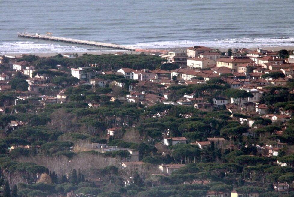 Un fiore speciale per i cento anni di Forte dei Marmi