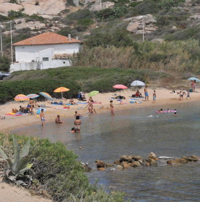 Disinfestazione delle spiagge al via da martedì