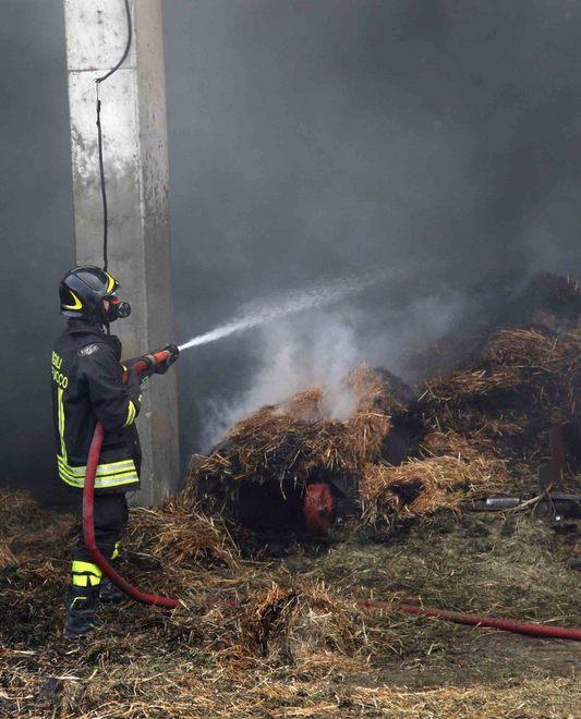 Aziende agricole nel mirino del piromane 