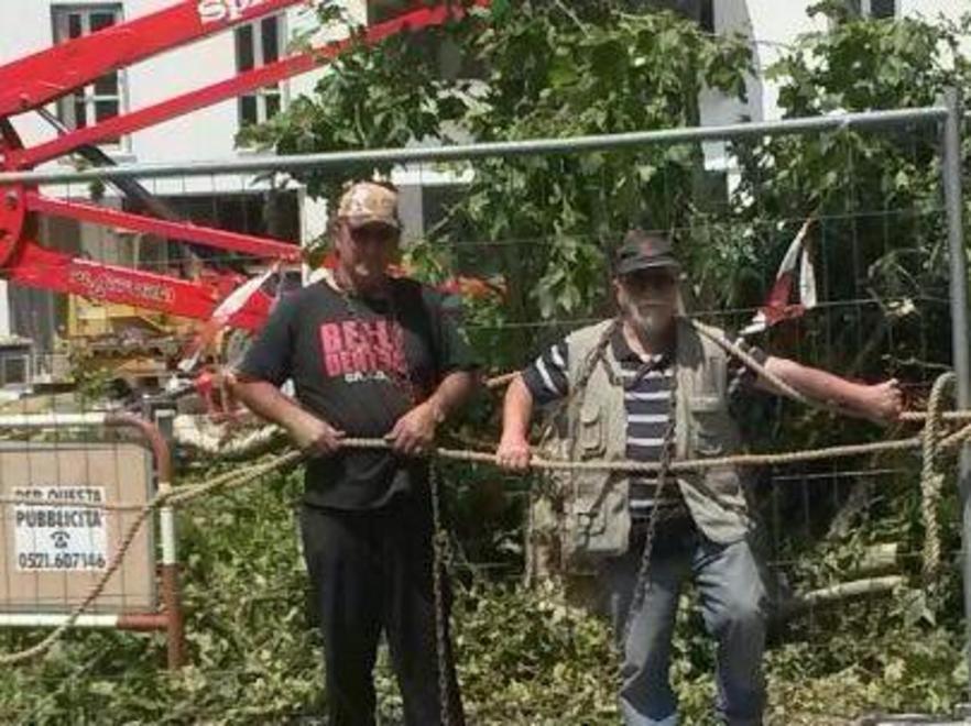 «Giusto tagliare gli alberi rischiavano di crollare» 