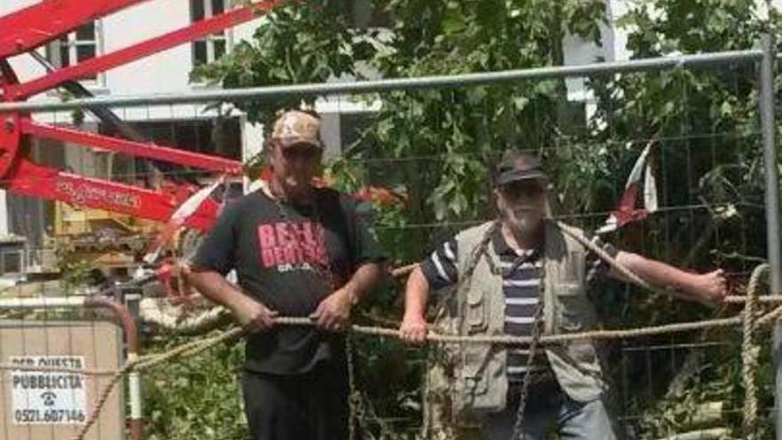 «Giusto tagliare gli alberi rischiavano di crollare»