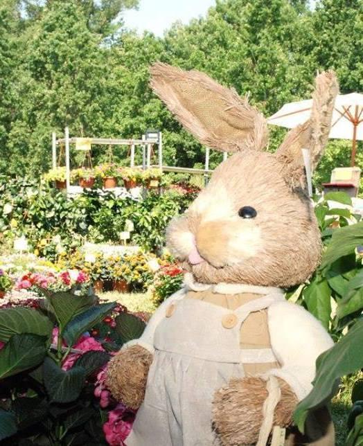 ViverVerde: una festa a Bosco Albergati all’insegna della natura 