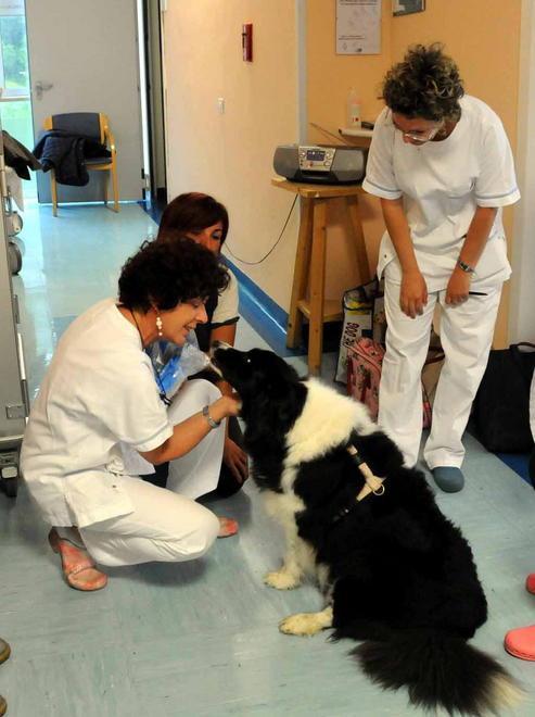 Pet therapy con l’associazione Il Sole down Pistoia 