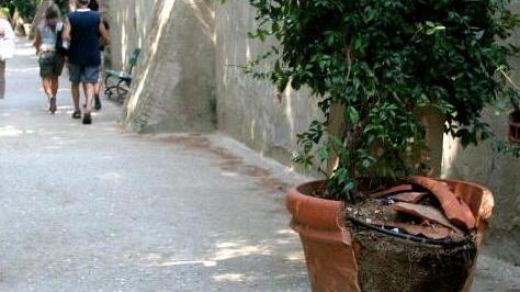 Il centro storico in mano ai vandali Danni alle fioriere in via Roma
