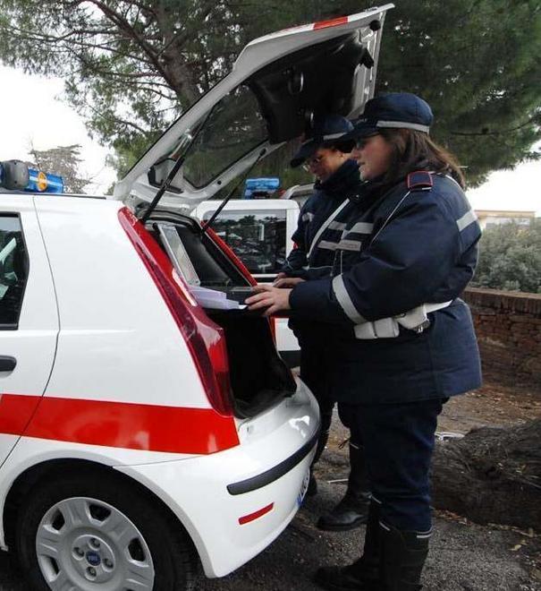 Si vendica della multa seminando residui organici