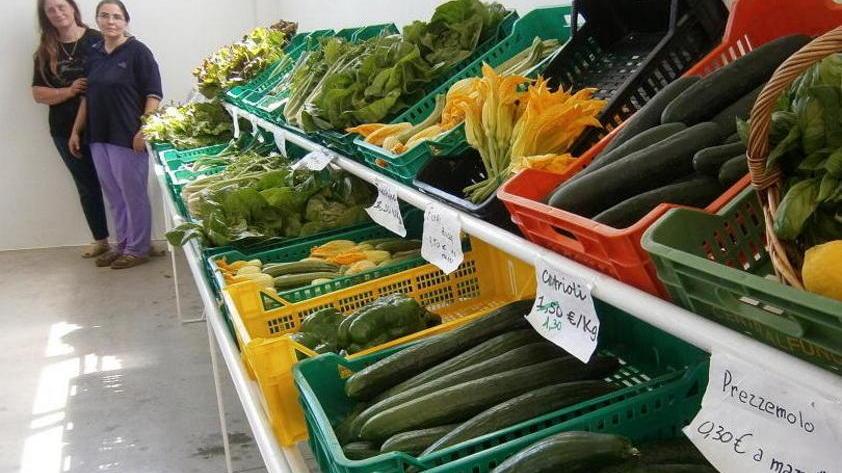 Nasce come orto di casa e diventa una vera attività