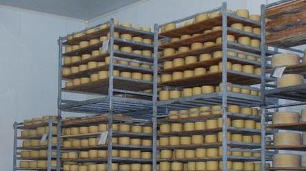 È l’agroalimentare il settore trainante in tutto il Marghine