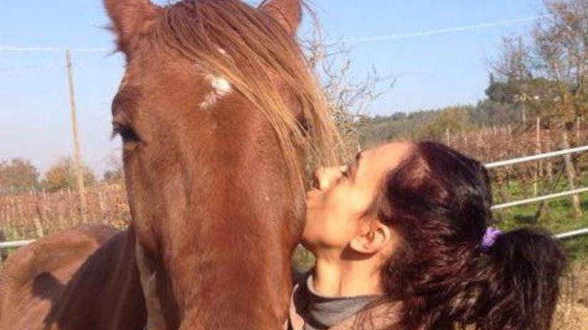 I cavalli acciaccati salvati grazie a un’associazione di Fucecchio