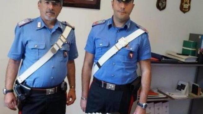 Quei boschi sono ormai una centrale dello spaccio