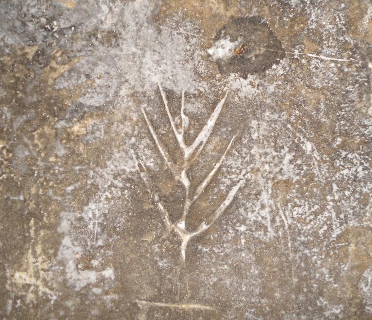 Pellegrinaggio millenario i segni scoperti a Balai 