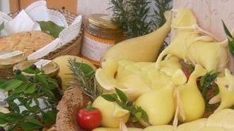 Dorgali per un giorno diventa la capitale della Biodiversità