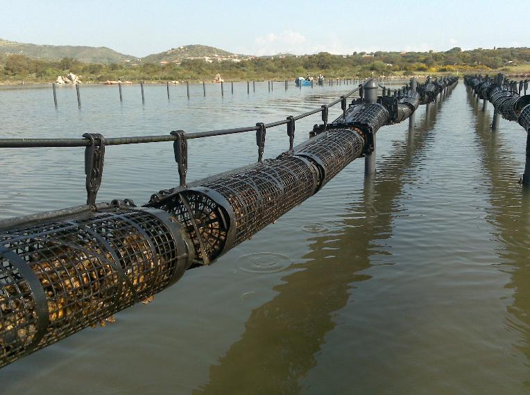 Posada e Torpè scelti per la festa dello sport organizzata dal Coni 