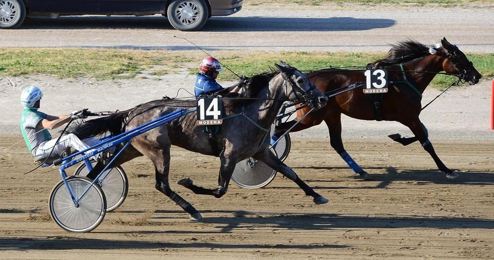 Platone Gso da battere aspettando le notturne 