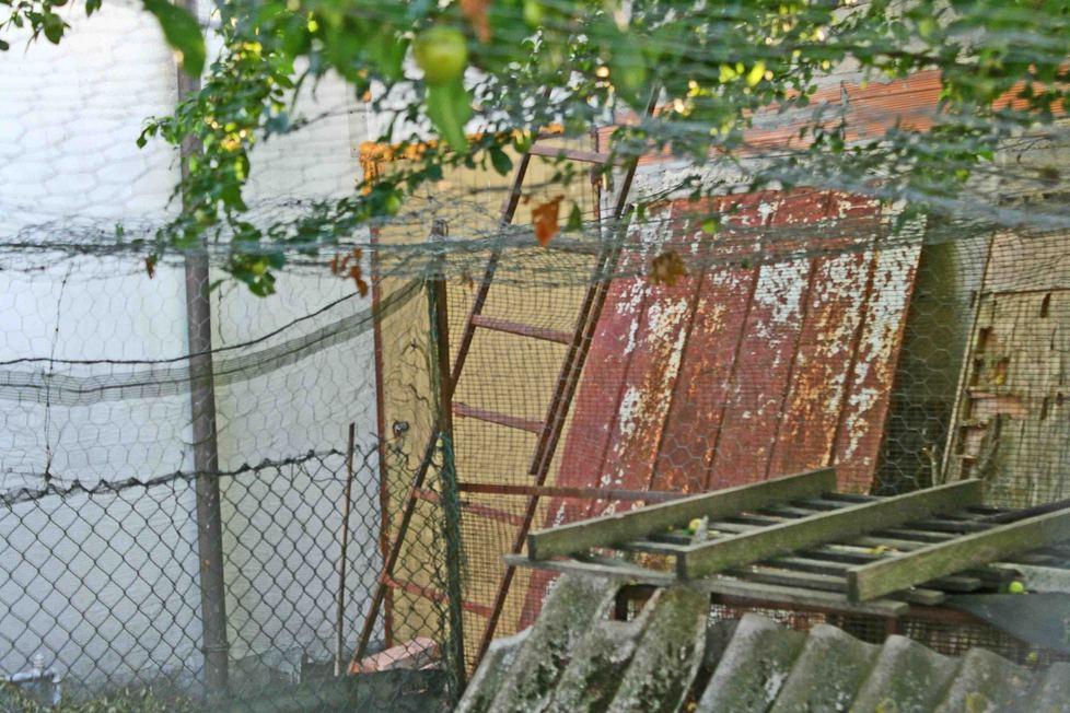 Cade dalla scala, grave un sessantenne 