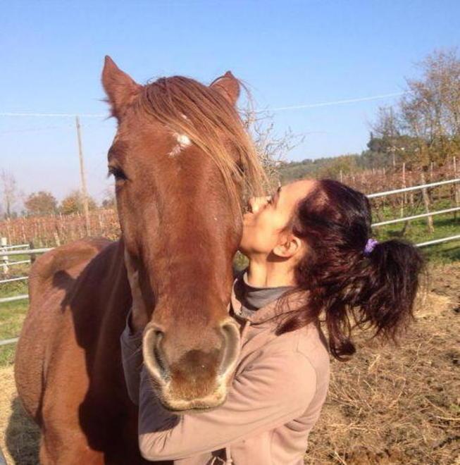 Cavalli acciaccati salvati grazie a un’associazione 