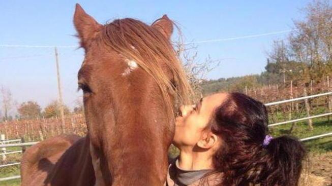 Cavalli acciaccati salvati grazie a un’associazione