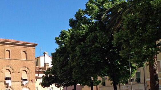Quattro mesi senza le quattro ruote