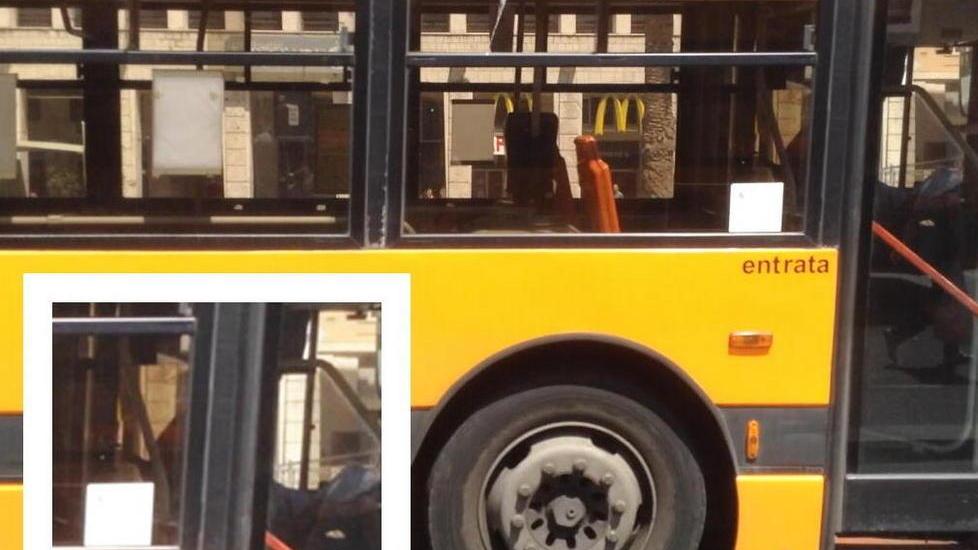 Legge il giornale alla guida del bus