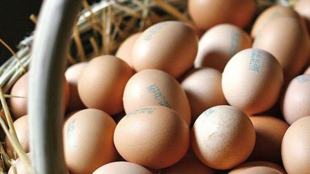 Educazione alimentare, laboratorio finale
