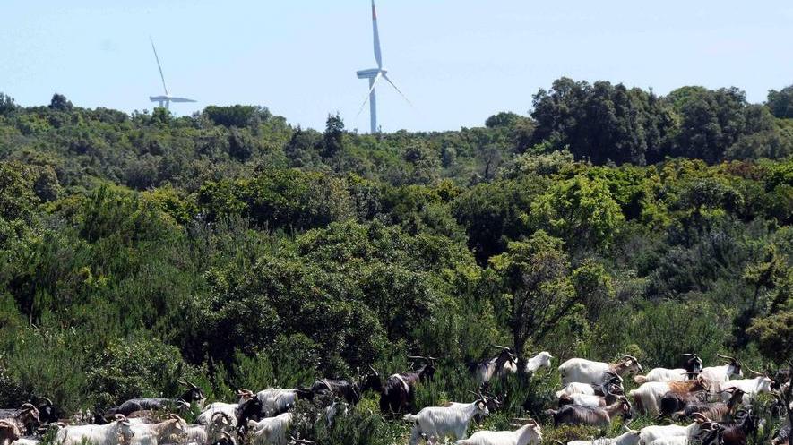 «Quirra, nessuna sorpresa dai risultati della perizia»