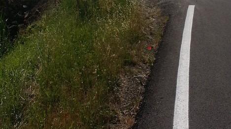 «Griduzza a rischio, nessuno rispetta i limiti di velocità»