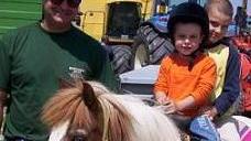 Poggio, merci e bestiame Giornata clou alla fiera