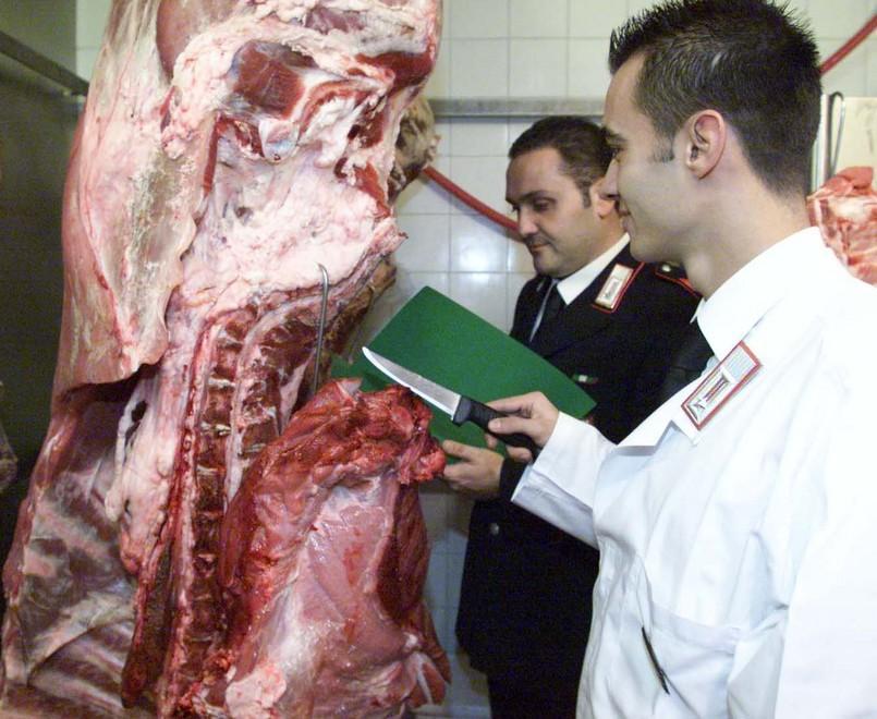 Carne bovina infetta e falsa Chianina: sequestri dei Nas, 65 indagati