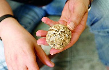 IL SOLE, LA LUNA, LE STELLE Il guaritore di Ollolai. La storia di un antico rituale per risolvere “il mal caduco” 