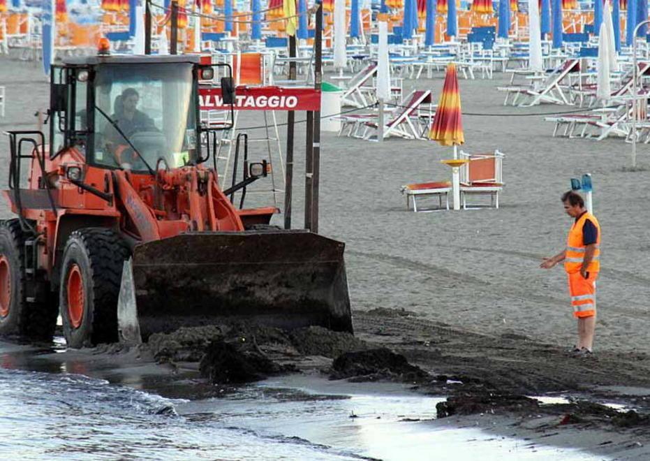 Invasione di detriti ruspe in spiaggia 