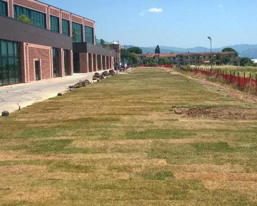  Il prato di piazza della Sala diventa un vero parco 