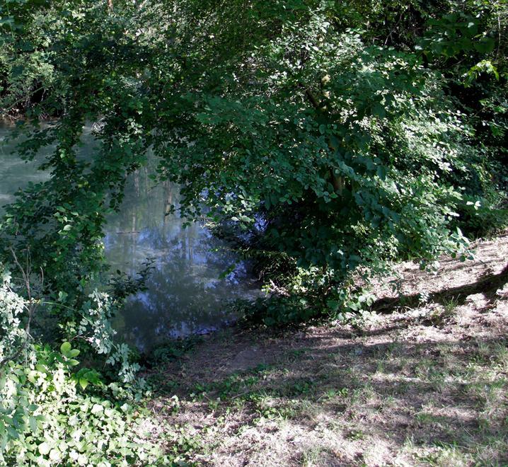 Rischia di annegare nel laghetto del parco 