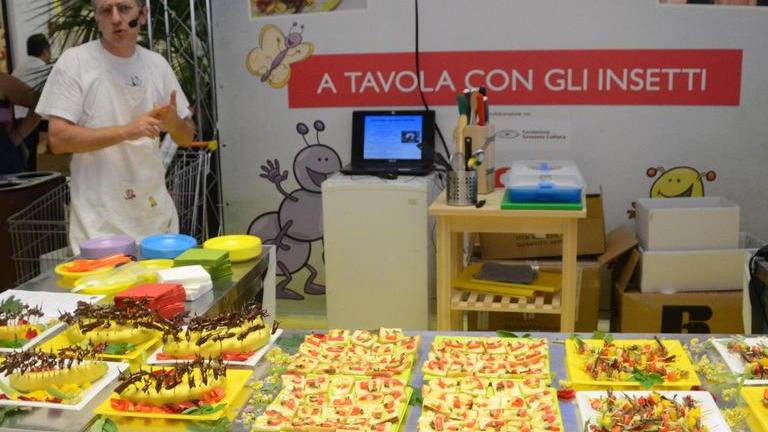 «Viva il cinghiale in umido» Critiche al locusta snack